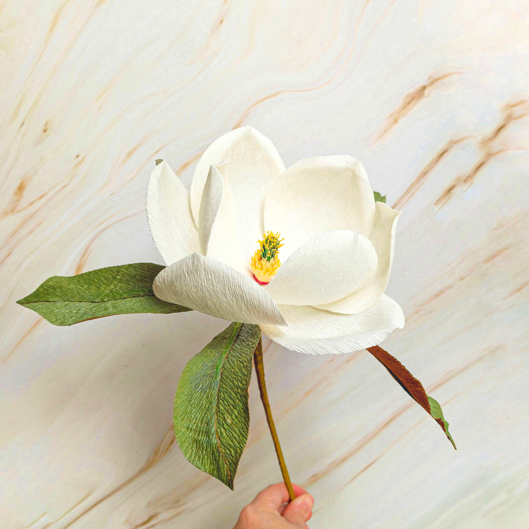 Set de 2 magnolias blancas de papel crepé para decorar