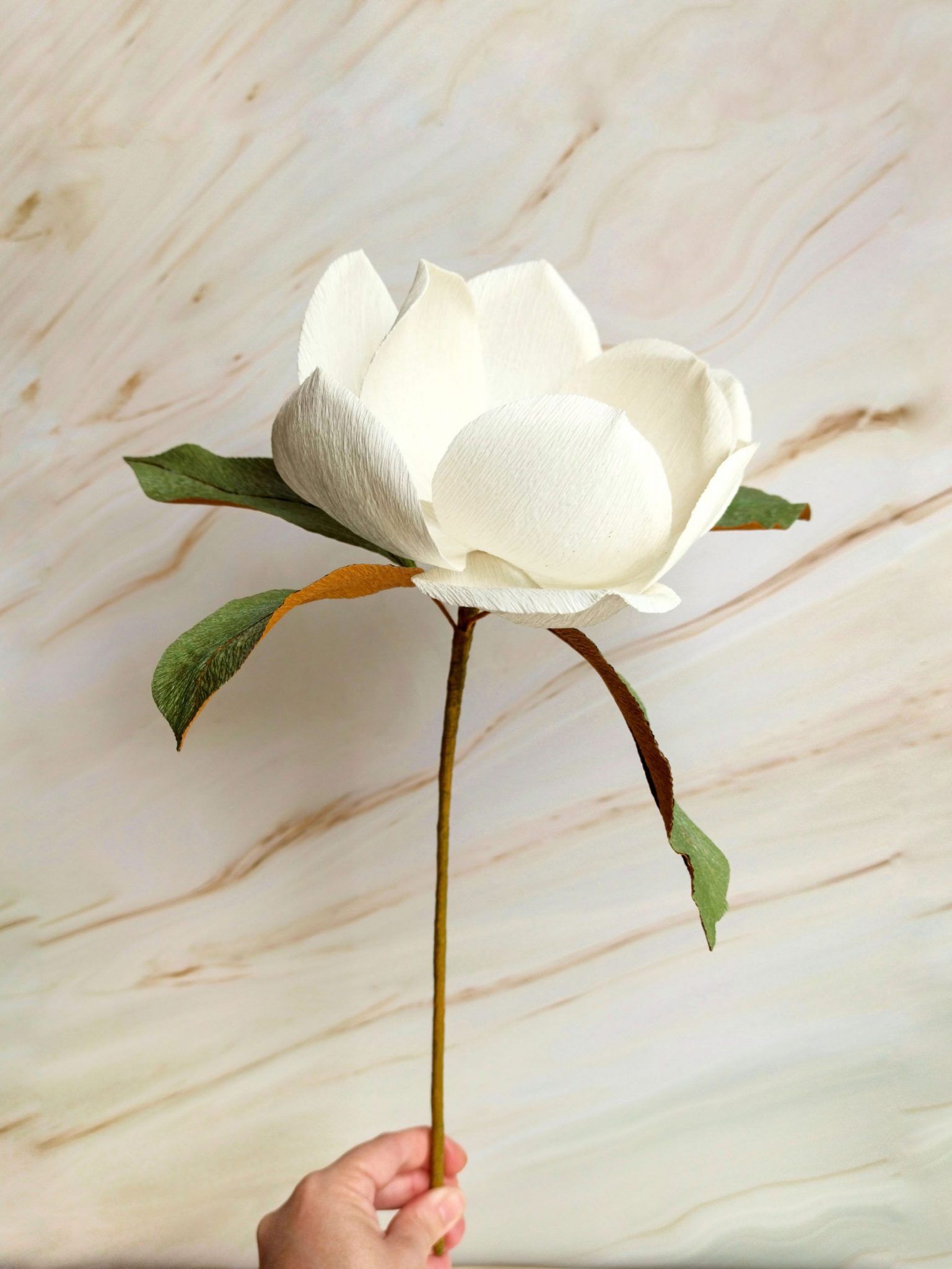 Set de 2 magnolias blancas de papel crepé para decorar