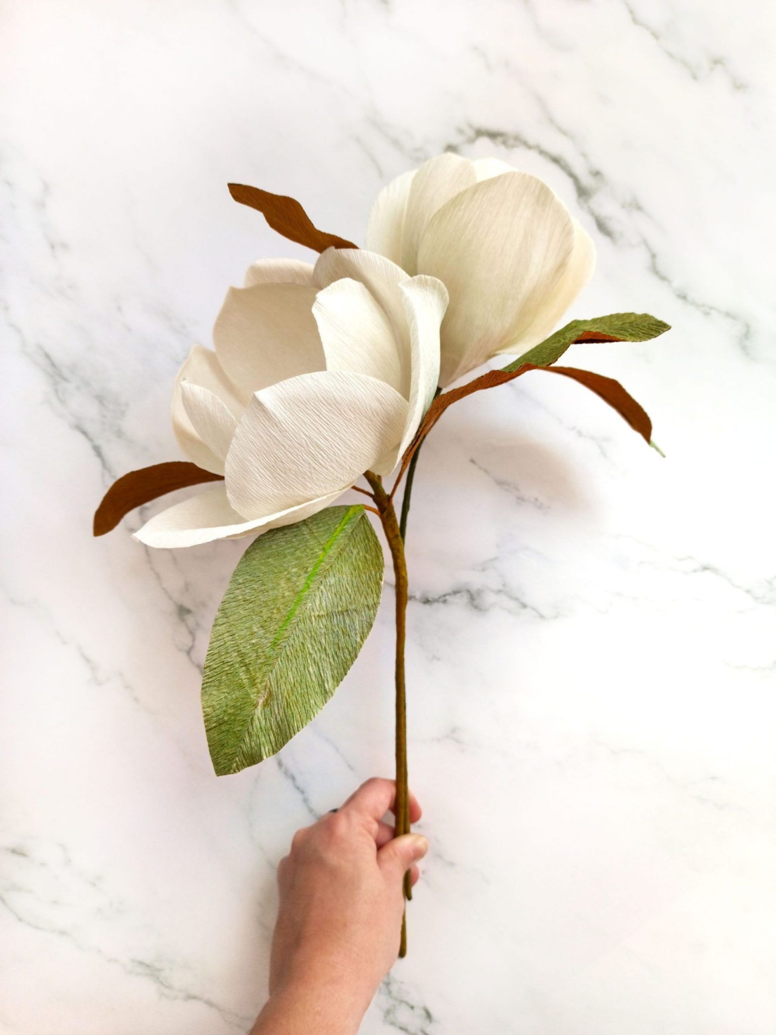 Set de 2 magnolias blancas de papel crepé para decorar