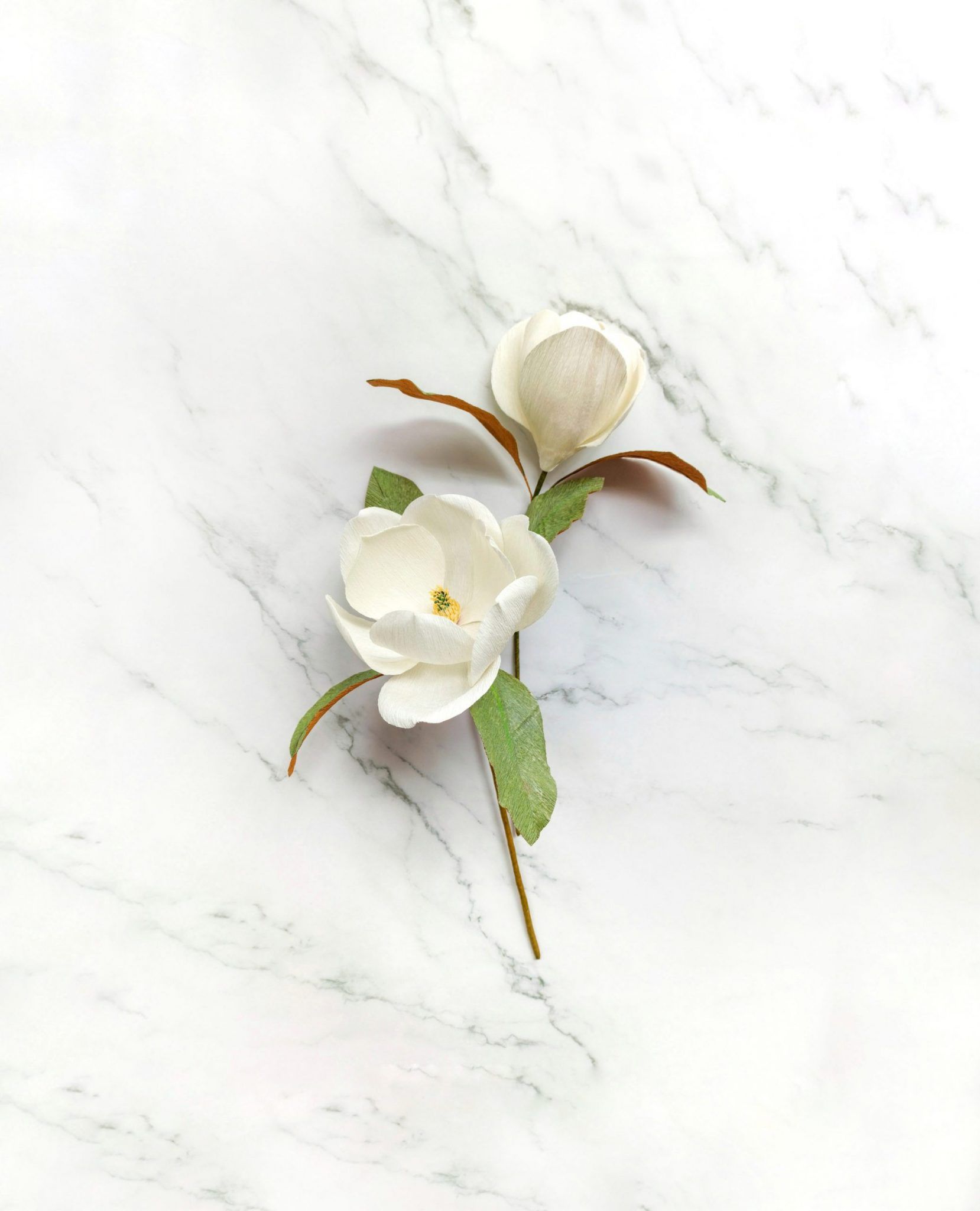 Set de 2 magnolias blancas de papel crepé para decorar