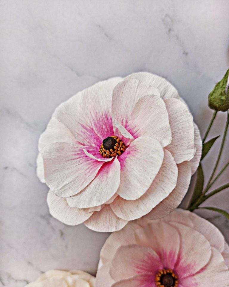 ranúnculo butterfly de papel crepé rosa, flores para siempre, flores de papel crepe