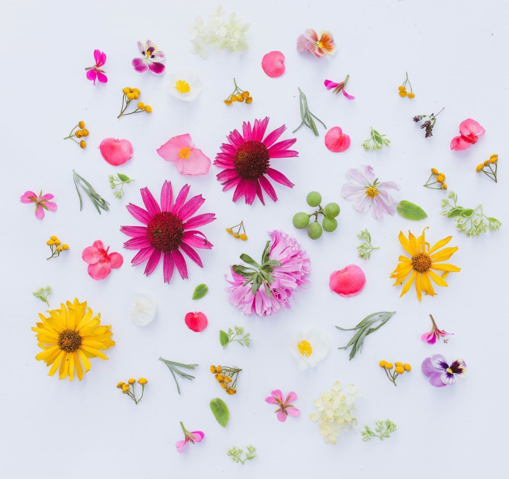 guia-significado-y-simbolismo-de-las-flores-flores-para-siempre