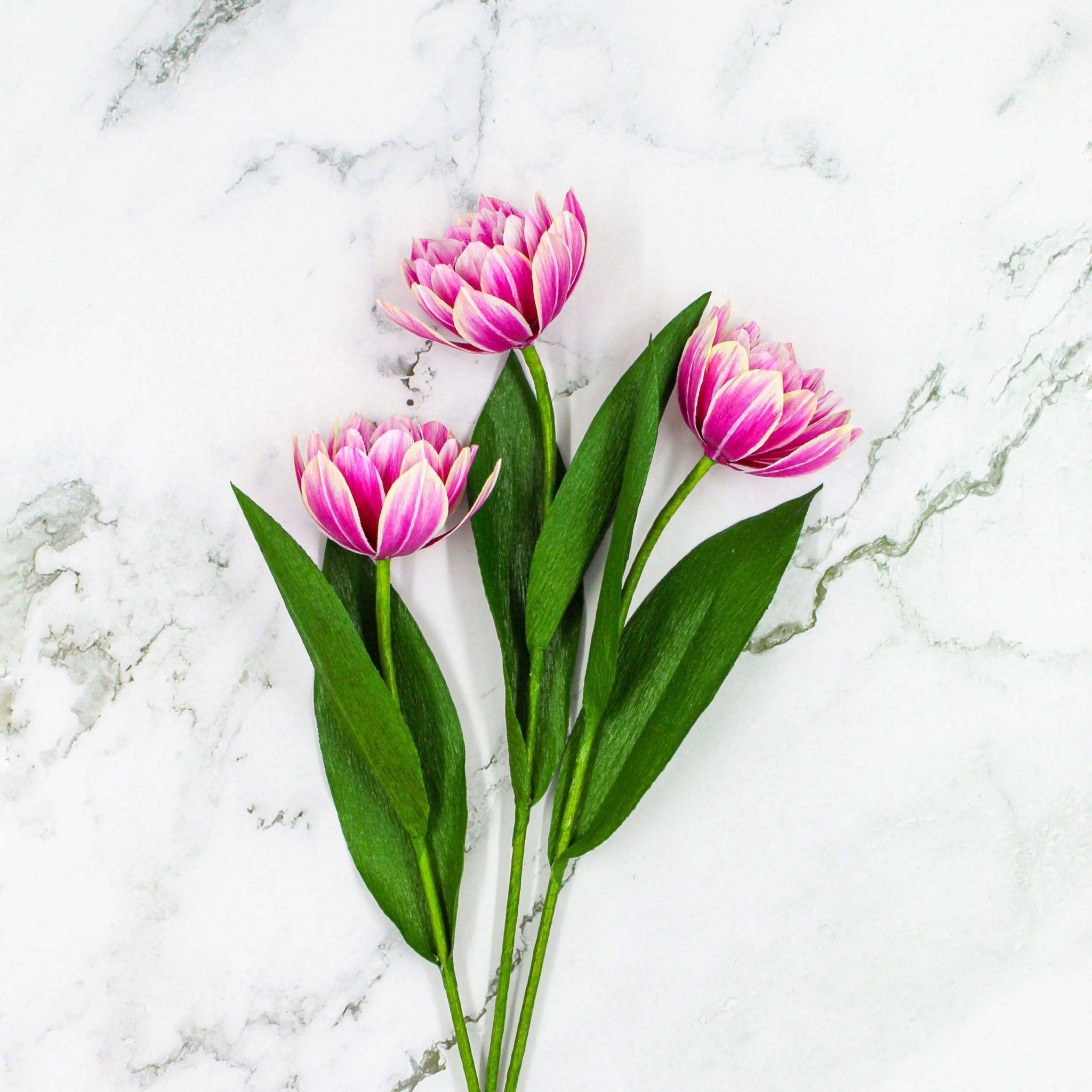 Tulipanes dobles de papel columbus