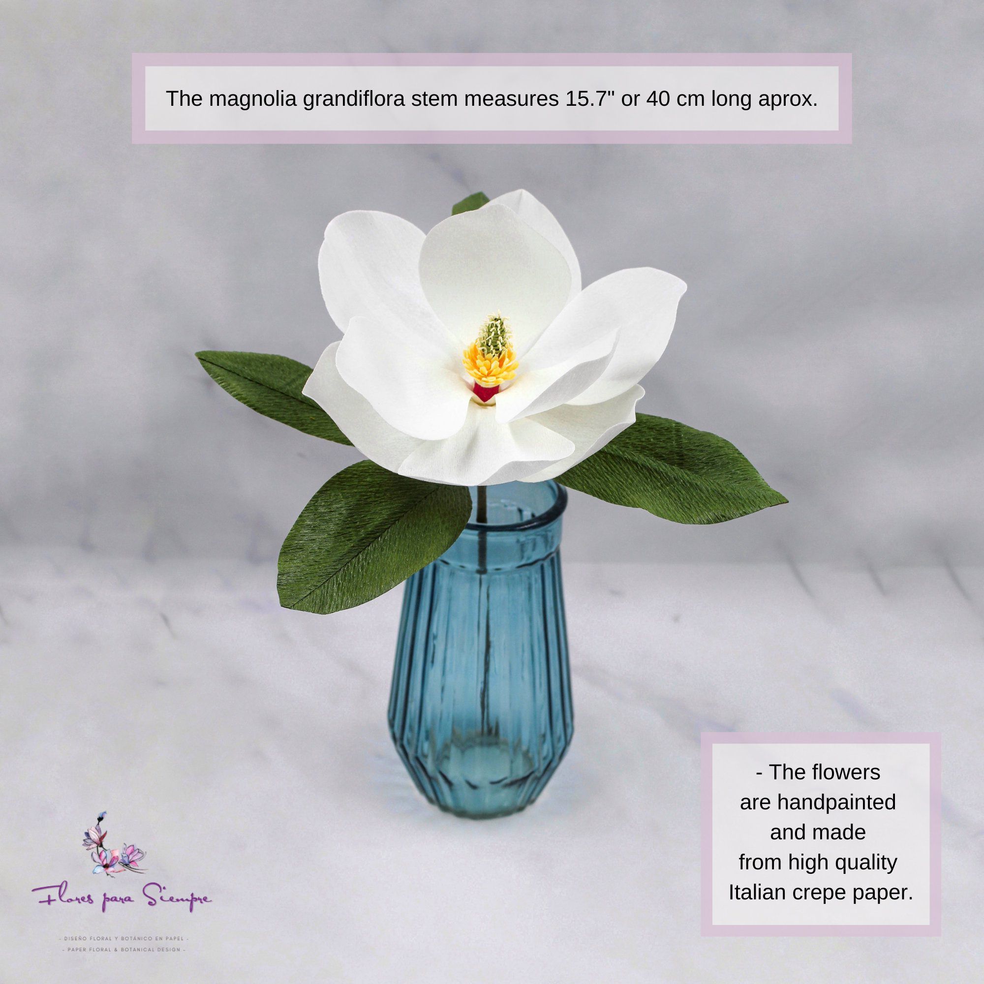 Magnolia grandiflora de papel crepé - Imagen 2