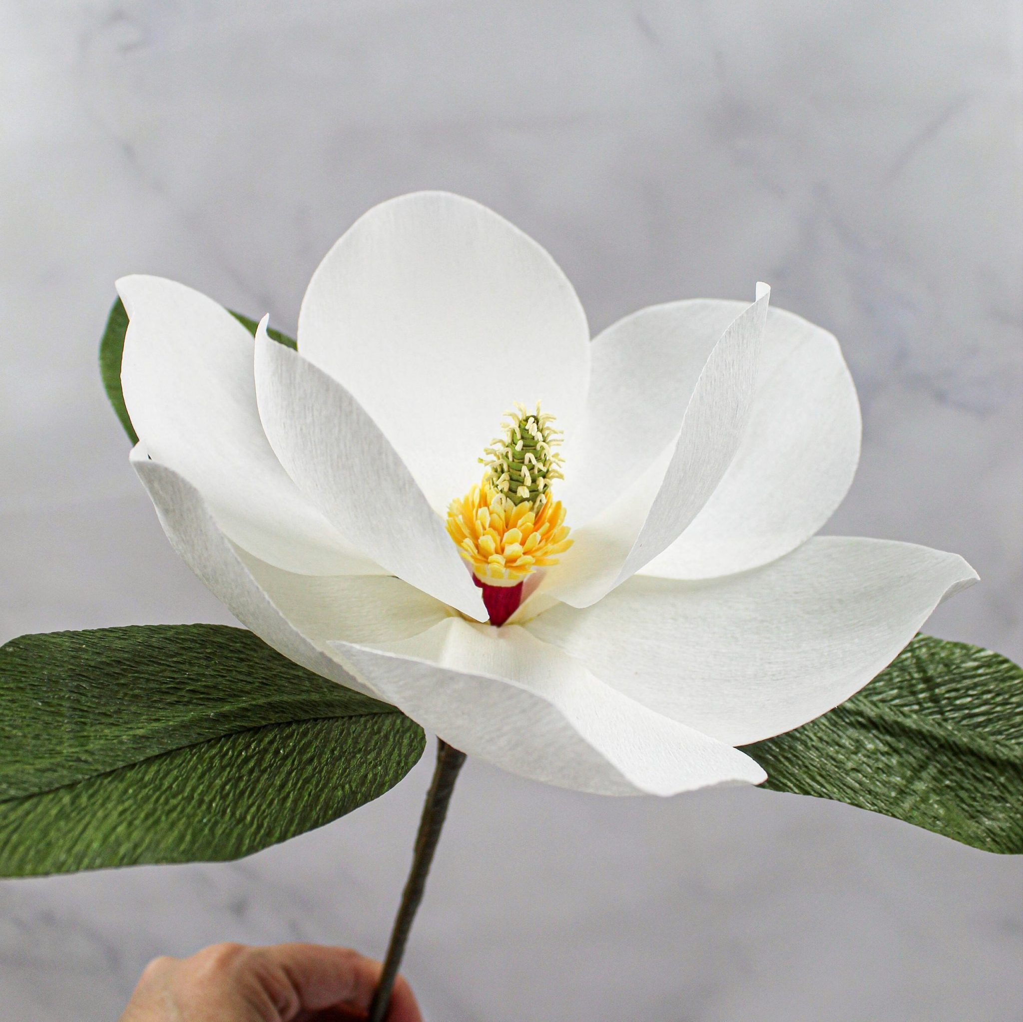 Magnolia grandiflora de papel crepé - Imagen 3