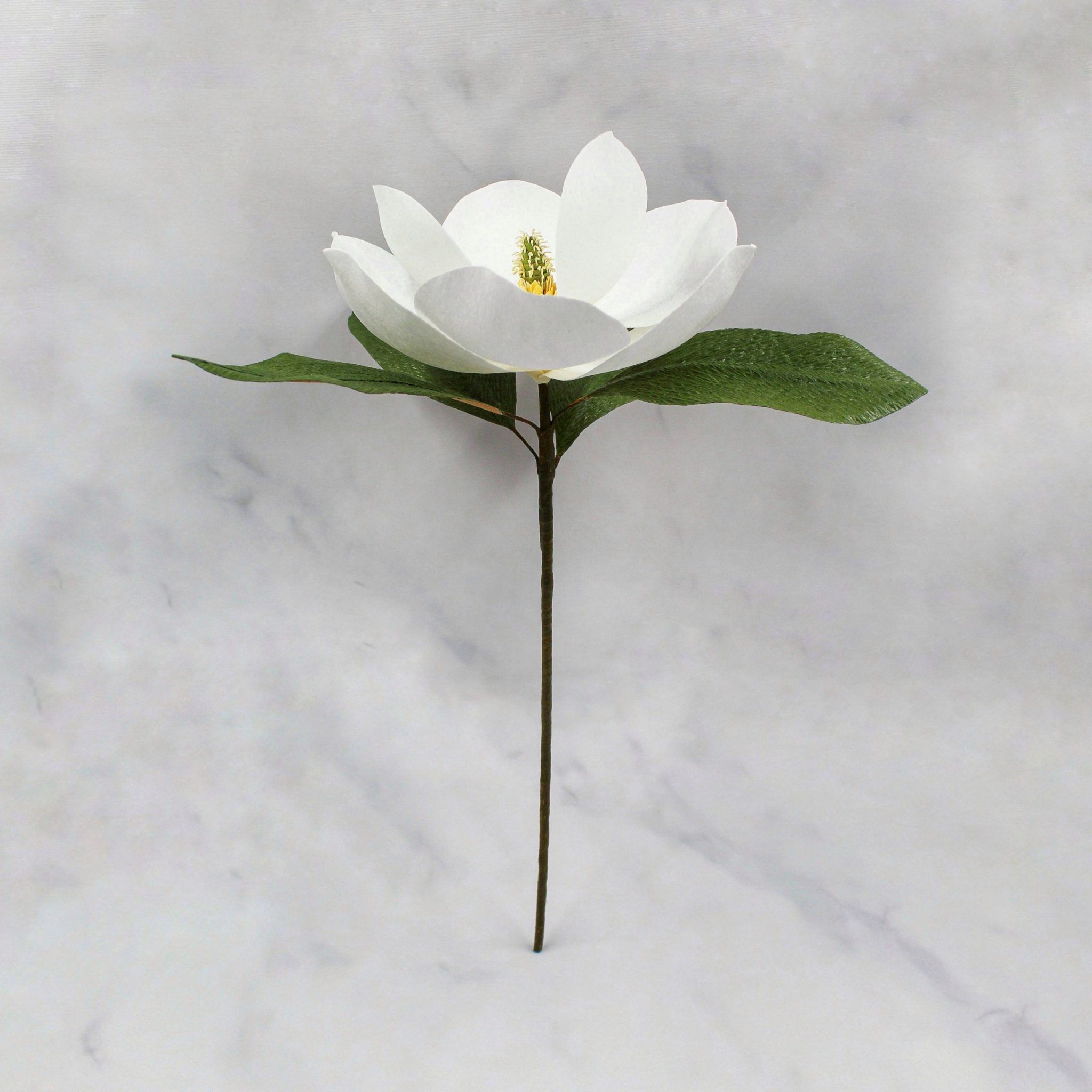 Magnolia grandiflora de papel crepé - Imagen 4