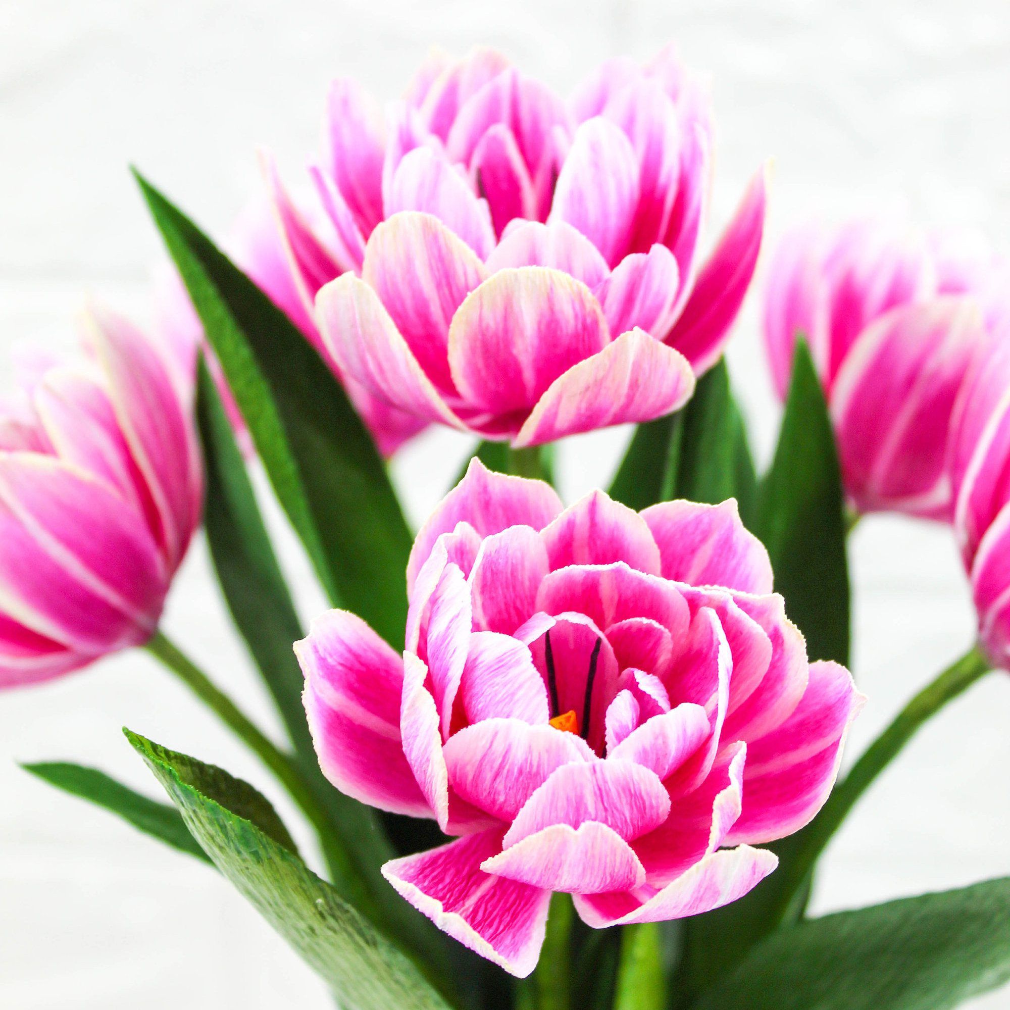 Tulipanes dobles de papel columbus - Imagen 3