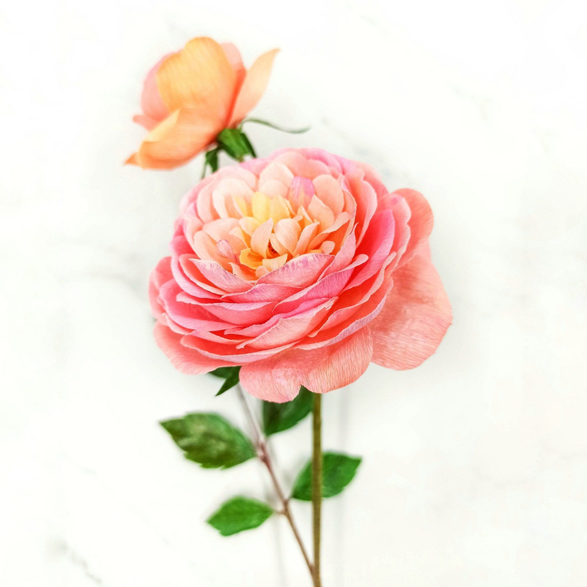 Rosas de jardín de papel, rosas hechas a mano, ramo de rosas de jardín, rosas de papel crepé, ramo realista de papel, flores de papel - Imagen 6