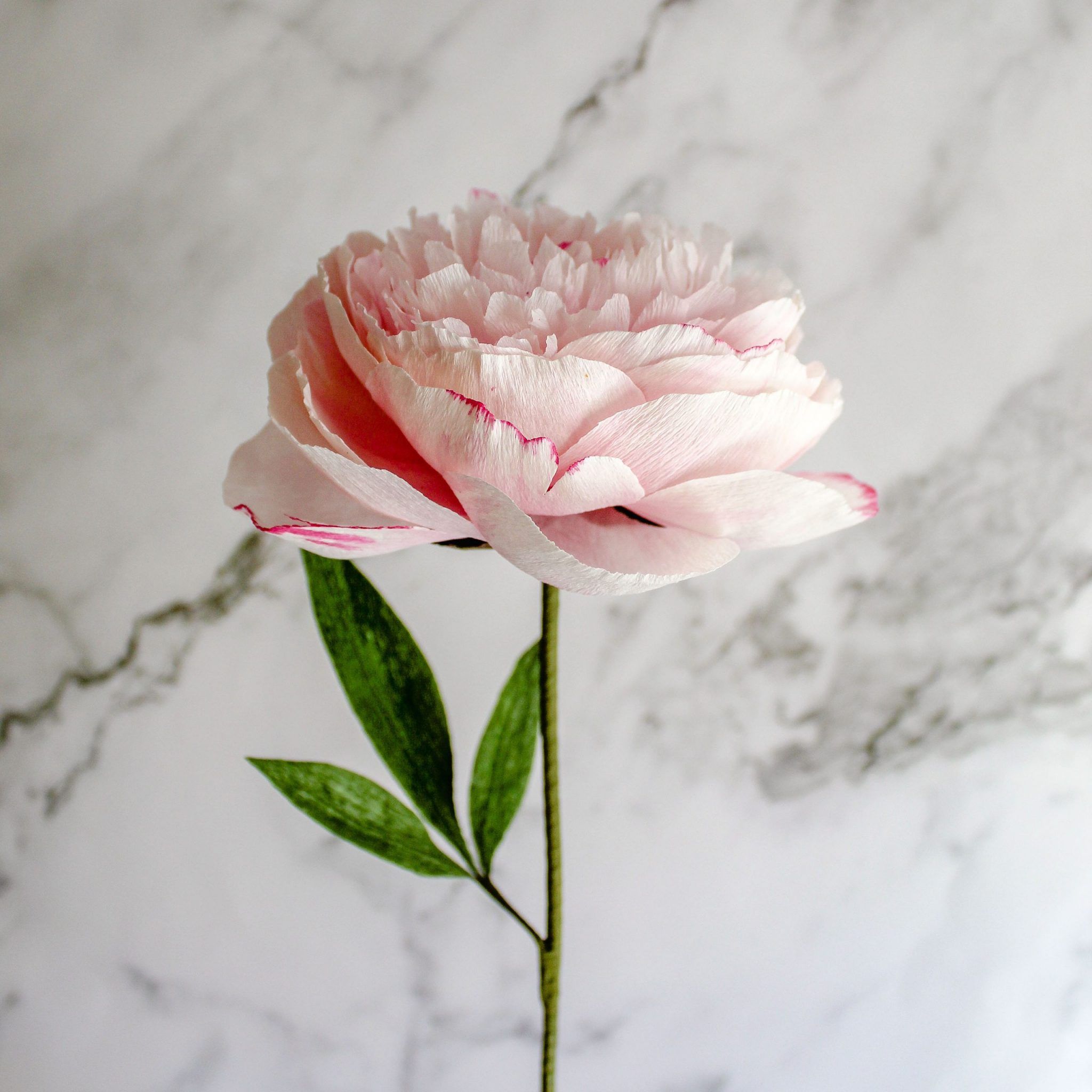 peonía de papel realista, flores para siempre