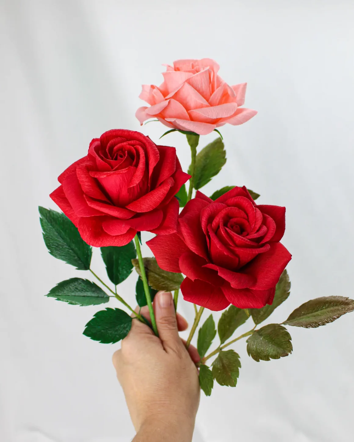 portfolio rosas de papel crepé