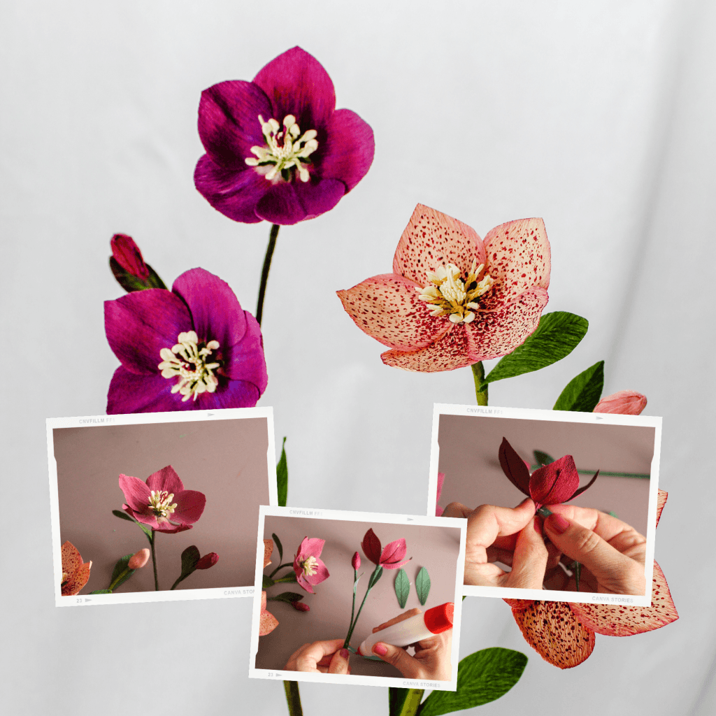 tutoriales-español-flores-papel-crepé-flores-para-siempre-videotutoriales-patreon
