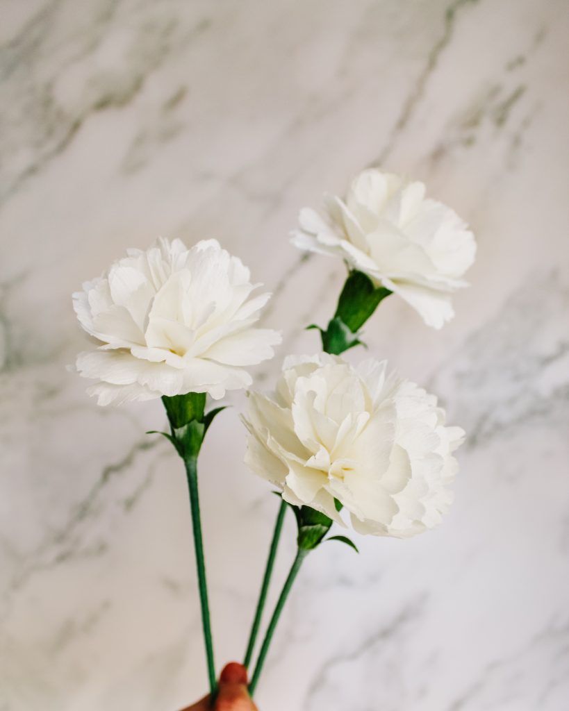 claveles-papel-crepé-flores-para-siempre