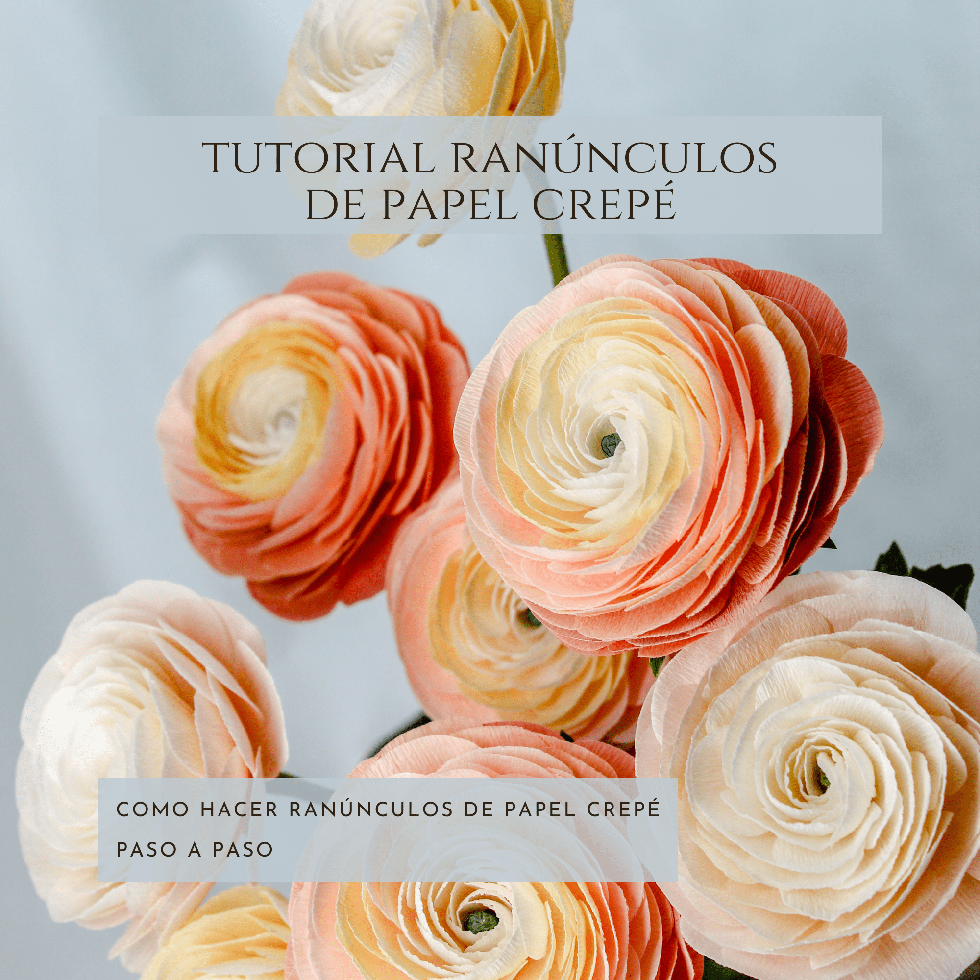 tutorial-ranúnculos-papel-crepé