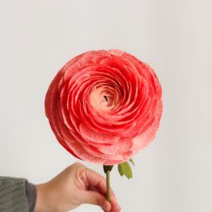 flores de papel artesanales hechas a mano.