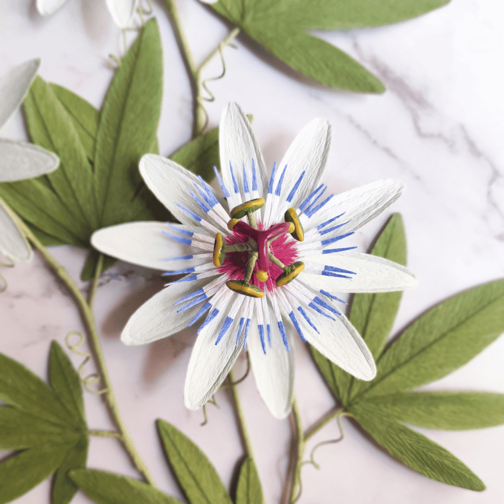 Flor de la pasión de papel hecha a mano, pasiflora decorativa de 30 cm con detalle realista
