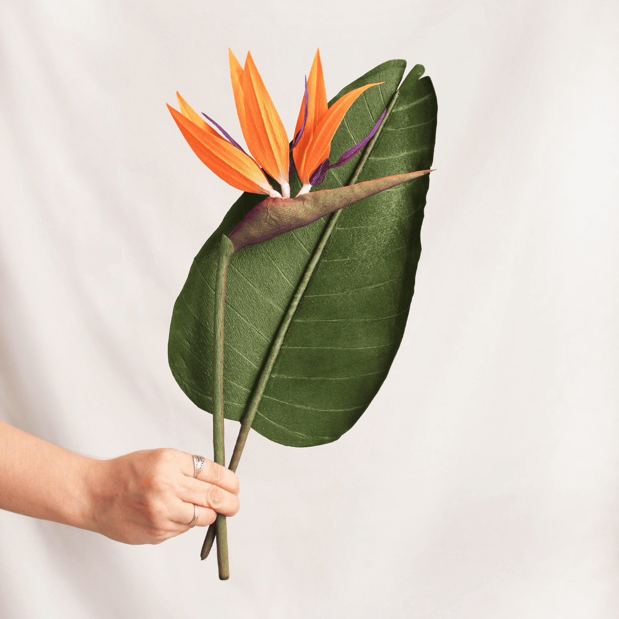 flor ave del paraíso de papel hecha a mano, strelitzia tropical decorativa para jarrón o composición floral