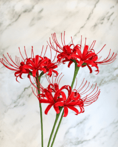 spider lily de papel elaborada artesanalmente